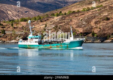 GLENELG HIGHLANDS SCHOTTLAND GROSSES GRÜNES SCHIFF AQUA SCO L SEGELN VORBEI AN SKYE DURCH DIE KYLE RHEA STRASSE Stockfoto