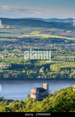 St. Andrä-Wördern: Donau, Schloss Greifenstein, Blick vom Aussichtsturm Tempelbergwarte bei Altenberg im Wienerwald, Wienerwald, nieder Stockfoto