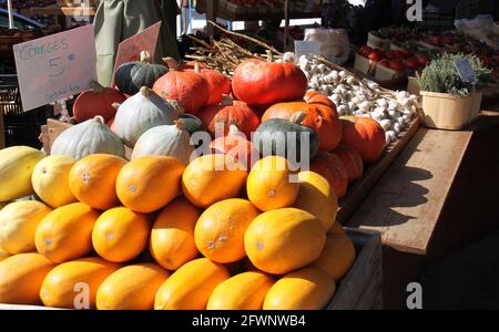 Bauernmarkt mit farbenfrohen Kürbissen. Text auf Preisangaben lautet: Kürbis 5$ zertifiziertes Bio, Knoblauch 2$ pro Artikel 3 für 5$, Kürbis Stockfoto