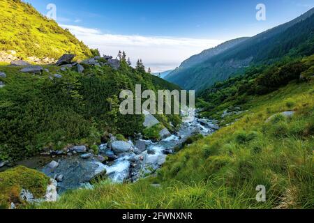 alpine balea Bach in den Bergen. Wasser fließt zwischen den Steinen und Bäumen. Schöne Sommerlandschaft am Morgen. Blick in das ferne Tal von Stockfoto