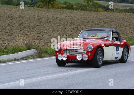 CAGLI, ITALIEN - 28. Okt 2020: CAGLI , ITALIEN - OTT 24 - 2020: CAGLI , ITALIEN - OTT 24 - 2020: AUSTIN HEALEY 100 6 1957 ein alter Rennwagen in der Rallye Mille M Stockfoto