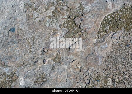 Wüstenboden aus Felsen und Sand ideal als Hintergrund oder Textur Stockfoto