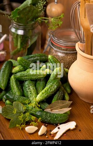 Hintergrund der Speisen. Bio-Produkte, gesunde Lebensmittel, Ernte für die Zukunft, Gemüse einlegen, Gurken einlegen. Gurken mit Knoblauch, Salz, Dill Stockfoto