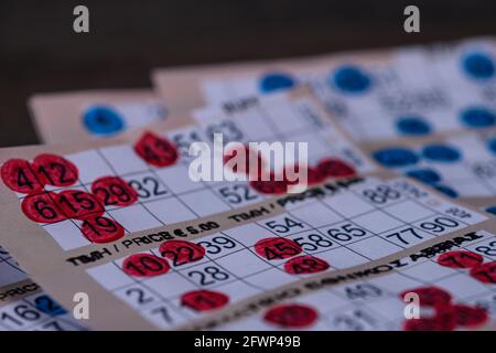 Rot und blau markierte Bingo-Karten aus der Nähe Stockfoto