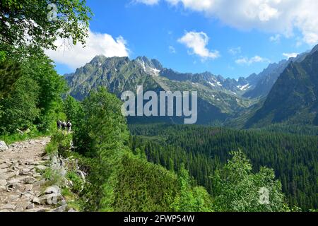 Einer der Wege zum Popradske pleso See, mit den Bergen der Hohen Tatra voraus. Drei Wanderer auf dem Weg. Slowakei. Stockfoto