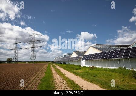 Photovoltaikmodule, Sonnenkollektoren auf Gewächshäusern eines Kindergartens in Pulheim-Sinnersdorf, Nordrhein-Westfalen, Deutschland. Photovoltaikanlage, So Stockfoto