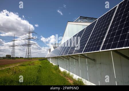 Photovoltaikmodule, Sonnenkollektoren auf Gewächshäusern eines Kindergartens in Pulheim-Sinnersdorf, Nordrhein-Westfalen, Deutschland. Photovoltaikanlage, So Stockfoto