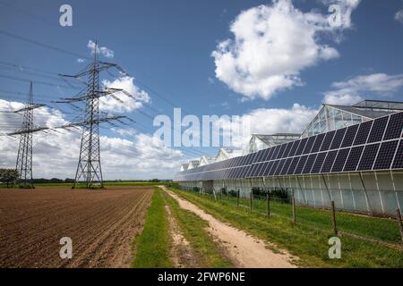 Photovoltaikmodule, Sonnenkollektoren auf Gewächshäusern eines Kindergartens in Pulheim-Sinnersdorf, Nordrhein-Westfalen, Deutschland. Photovoltaikanlage, So Stockfoto