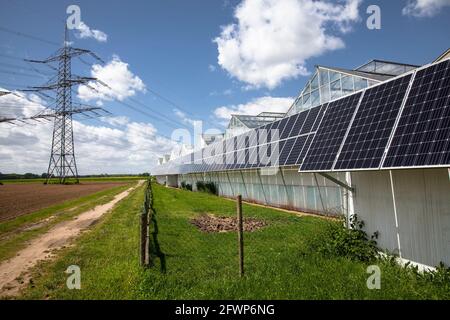 Photovoltaikmodule, Sonnenkollektoren auf Gewächshäusern eines Kindergartens in Pulheim-Sinnersdorf, Nordrhein-Westfalen, Deutschland. Photovoltaikanlage, So Stockfoto