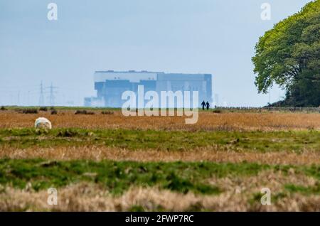 Blick auf das Kernkraftwerk Heysham vom Salzmarsch in Humphrey Head, Grange-over-Sands, Cumbria. Stockfoto