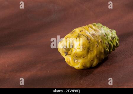 Morinda citrifolia - Noni Frucht mit vielen medizinischen Eigenschaften. Stockfoto