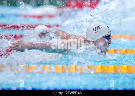 BUDAPEST, UNGARN - MAI 23: Peter Bernek aus Ungarn startet beim 400-m-Einzel-Medley-Finale der Männer während der len-Europameisterschaft S Stockfoto