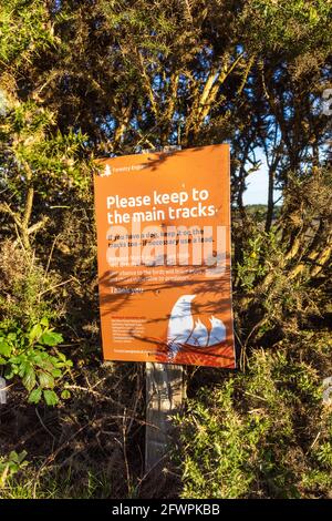 Forestry England Schild fordert die Menschen auf, sich an den Hauptpfaden zu halten, um die brütenden Vögel im New Forest National Park, Hampshire, England, Großbritannien, zu schützen Stockfoto