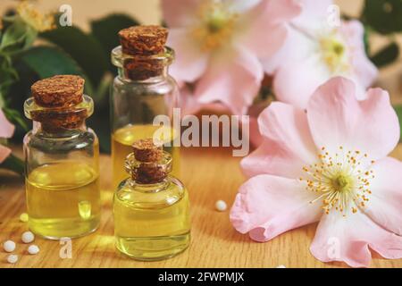 Hagebuttenextrakt in Flaschen. Homöopathie. Selektive Fokusnatur Stockfoto