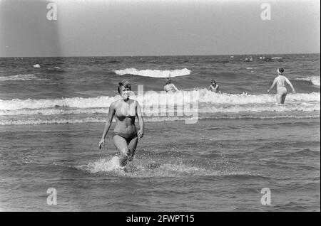 Schönes Wetter am Strand, Zandvoort, 15. August 1974, Strände, Niederlande, Presseagentur des 20. Jahrhunderts, Foto, Nachrichten zum erinnern, Dokumentarfilm, historische Fotografie 1945-1990, visuelle Geschichten, Menschliche Geschichte des zwanzigsten Jahrhunderts, Momente in der Zeit festzuhalten Stockfoto