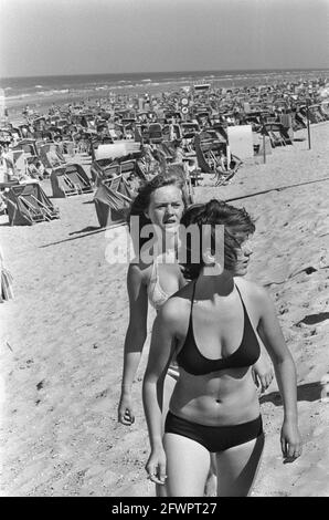 Schönes Wetter am Strand, Zandvoort, 15. August 1974, Strände, Niederlande, Presseagentur des 20. Jahrhunderts, Foto, Nachrichten zum erinnern, Dokumentarfilm, historische Fotografie 1945-1990, visuelle Geschichten, Menschliche Geschichte des zwanzigsten Jahrhunderts, Momente in der Zeit festzuhalten Stockfoto