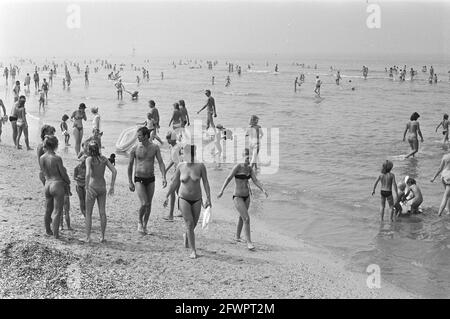 Schönes Wetter, Strand Zandvoort, 4. August 1981, Strände, Niederlande, Presseagentur des 20. Jahrhunderts, Foto, Nachrichten zum erinnern, Dokumentarfilm, historische Fotografie 1945-1990, visuelle Geschichten, Menschliche Geschichte des zwanzigsten Jahrhunderts, Momente in der Zeit festzuhalten Stockfoto