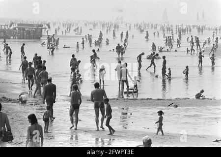 Schönes Wetter, Zandvoort Strand, 4. August 1981, Strände, Niederlande, Presseagentur des 20. Jahrhunderts, Foto, Nachrichten zum erinnern, Dokumentarfilm, historische Fotografie 1945-1990, visuelle Geschichten, Menschliche Geschichte des zwanzigsten Jahrhunderts, Momente in der Zeit festzuhalten Stockfoto