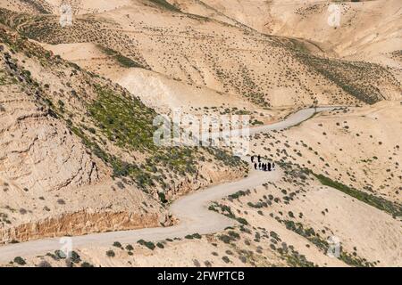 Die Straße auf dem Hang des sandigen Berges der Judäischen Wüste mit Frühlingsvegetation bedeckt. Israel Stockfoto
