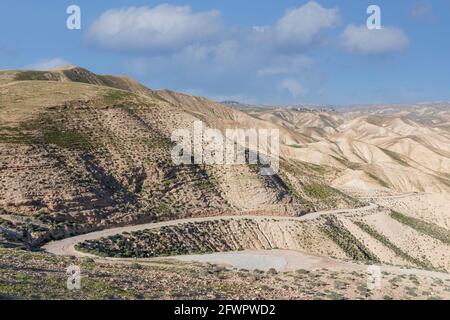 Die Straße auf dem Hang des sandigen Berges der Judäischen Wüste mit Frühlingsvegetation bedeckt. Israel Stockfoto