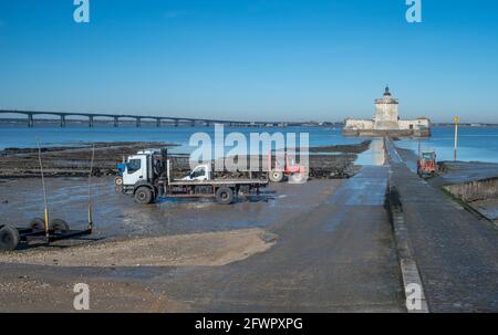 Austernbetten bei Ebbe im alten Fort Louvois, Bourcefranc-le-Chapu mit einer Brücke am Horizont zur Insel Oleron, Charente Maritime, Frankreich Stockfoto