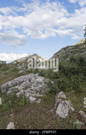 Vertikale Aufnahme einer wunderschönen felsigen Berglandschaft in Malaga, Andalusien, Spanien Stockfoto