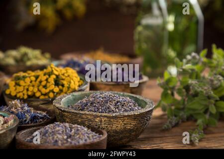 Verschiedene natürliche Medizin, Kräuter und Mörtel Stockfoto