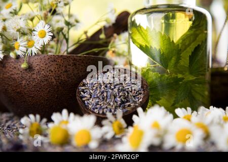 Verschiedene natürliche Medizin, Kräuter und Mörtel Stockfoto