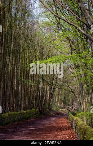 Sheep Pasture Incline, Derbyshire Peak District, England, Großbritannien Stockfoto