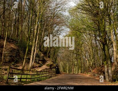 Sheep Pasture Incline, Derbyshire Peak District, England, Großbritannien Stockfoto