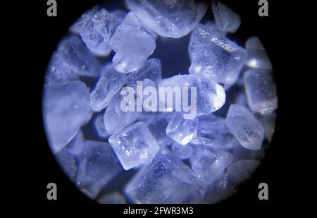 Zuckerkristalle unter einem optischen Mikroskop gesehen Stockfoto