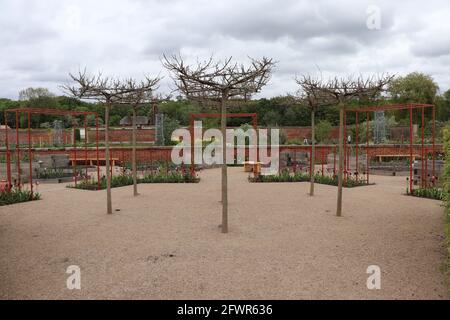 Zierbäume in den Bridgewater Gardens von RHS Stockfoto