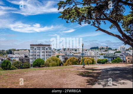 Blick auf San Francisco Skyline von Alamo Square Park. Stockfoto