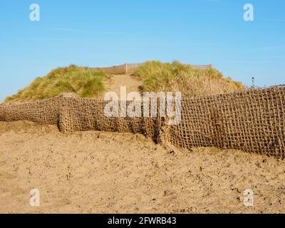 Netting zur Stabilisierung von Sanddünen und zur Verhinderung von Überschwemmungen in Instow, North Devon, Großbritannien Stockfoto