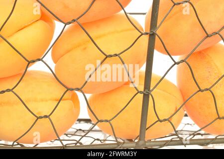 Mehrere organische gelbe Ananas-Aprikosen in einem Metallkorb, Nahaufnahme, auf einem weißen Holztisch, Draufsicht. Stockfoto