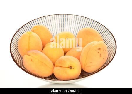 Mehrere reife Ananas-Aprikosen in einer Keramikplatte, Nahaufnahme, isoliert auf Weiß. Stockfoto