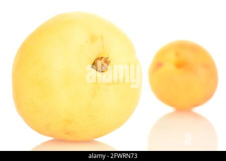 Zwei Bio-Ananas-Aprikosen, Nahaufnahme, isoliert auf Weiß. Stockfoto