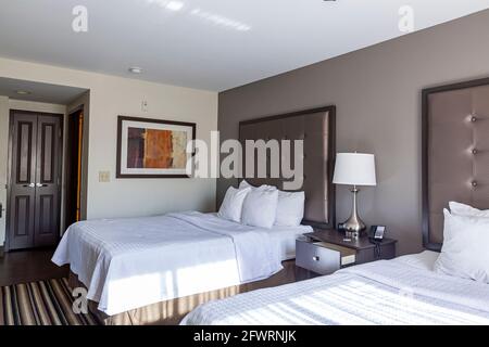 Columbus, OH 05-20-2021: Die Inneneinrichtung eines makellosen, sauberen und ordentlichen Hotelzimmers in Pastellfarben. Das Zimmer verfügt über zwei Queensize-Betten und ein eigenes Badezimmer. Betten Stockfoto