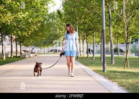 Junge schöne junge Brünette fröhliches Mädchen in blauem Kleid geht mit ihrem Hund in einem Stadtpark. Hunderasse Pharao an der Leine mit Besitzer auf dem Spaziergang. Hochwertige Fotos Stockfoto