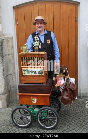 Ein Leierkasten-Mann auf dem Untermarkt in Görlitz am 24.05.2021 Drehorgel Stockfoto