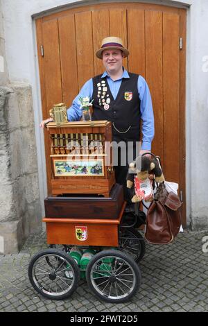 Ein Leierkasten-Mann auf dem Untermarkt in Görlitz am 24.05.2021 Drehorgel Stockfoto