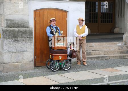 Ein Leierkasten-Mann auf dem Untermarkt in Görlitz am 24.05.2021 Drehorgel Stockfoto