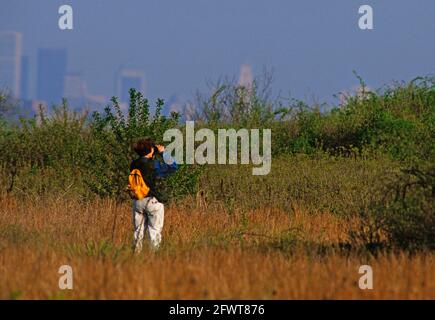 Vogelbeobachtung im Jamaica Bay National Wildlife Refuge Stockfoto