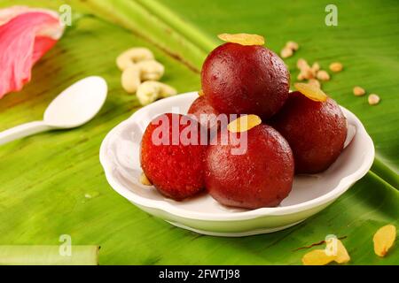 Gulab Jamun ist eine Süßigkeit auf Milchbasis, die in Indien sehr beliebt ist Stockfoto