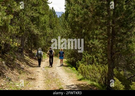 Wanderer im Llosa-Tal in der katalanischen Cerdanya im Frühjahr (Lleida, Katalonien, Spanien, Pyrenäen) ESP: Senderistas en el valle de la Llosa, Cerdaña Stockfoto