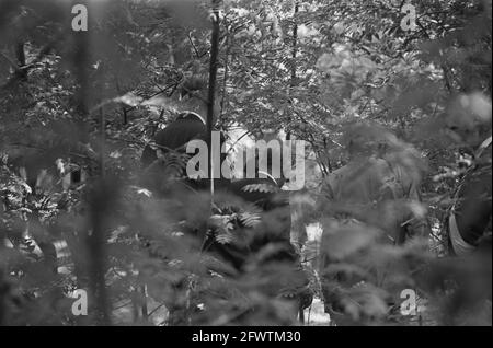 Ambonese Occupy Residenz des indonesischen Botschafters, Wassenaar, 31. August 1970, Berufe, Niederlande, Presseagentur des 20. Jahrhunderts, Foto, Nachrichten zum erinnern, Dokumentarfilm, historische Fotografie 1945-1990, visuelle Geschichten, Menschliche Geschichte des zwanzigsten Jahrhunderts, Momente in der Zeit festzuhalten Stockfoto