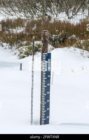 Hautes Fagnes, Belgien, 8. April 2021: Die Hautes Fagnes bilden eine Region, die sich erstreckt, in Belgien in der Wallonischen Region und in Deutschland im Rheinland-Pa Stockfoto