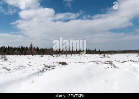 Hautes Fagnes, Belgien, 8. April 2021: Die Hautes Fagnes bilden eine Region, die sich erstreckt, in Belgien in der Wallonischen Region und in Deutschland im Rheinland-Pa Stockfoto