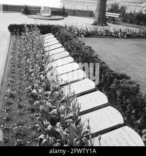 Kriegsgräber auf dem Grebbeberger Ehrenplatz (Rhenen), 3. Mai 1961, Friedhöfe, Kriegsgräber, zweiter Weltkrieg, Niederlande, Presseagentur des 20. Jahrhunderts, Foto, Nachrichten zum erinnern, Dokumentarfilm, historische Fotografie 1945-1990, visuelle Geschichten, Menschliche Geschichte des zwanzigsten Jahrhunderts, Momente in der Zeit festzuhalten Stockfoto