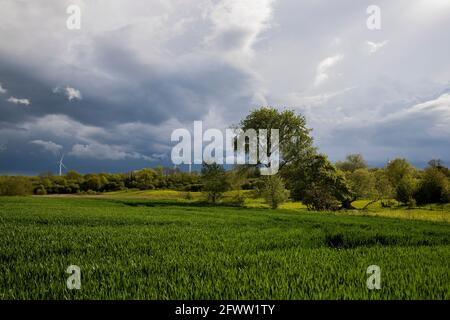 NORTHAMPTON, ENGLAND. MAI. Wegen der widrigen Wetterbedingungen im Mai am Montag, den 24. Mai 2021, ragen stürmische Himmel über der Landschaft in Northamptonshire. (Kredit: Leila Coker) Gutschrift: Leila Coker/Alamy Live News Stockfoto